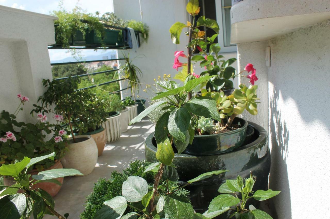 Bianca Appartement
